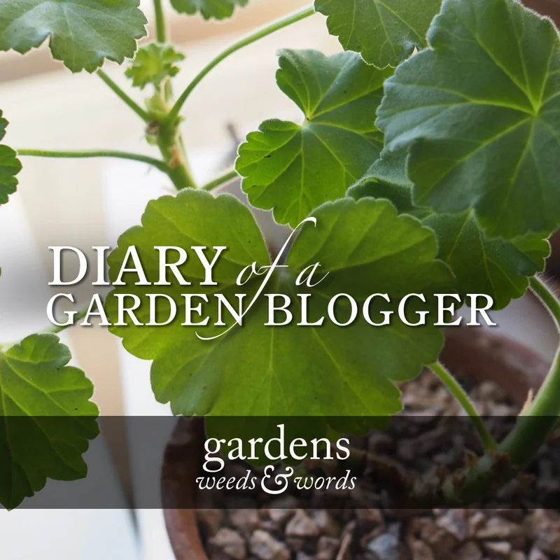diary_jan18_header.jpg
