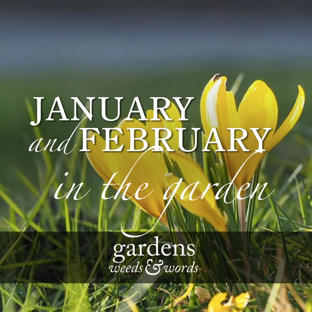 January &amp; February in the garden