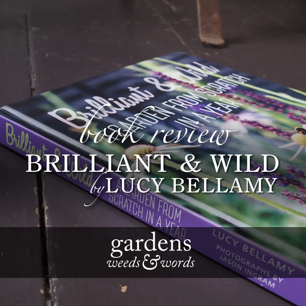 Brilliant &amp; Wild. A garden from scratch in a year