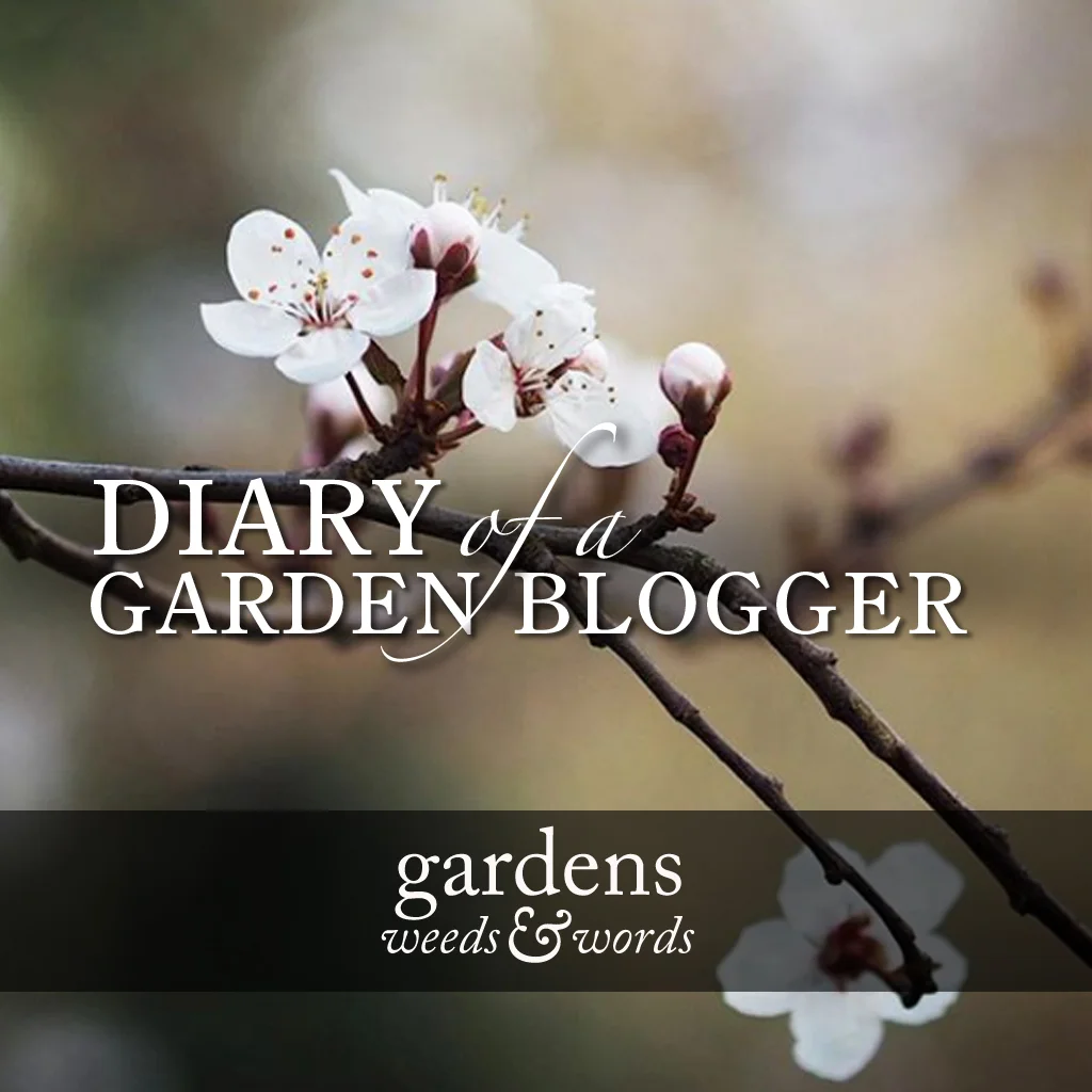 A day in the life of… Gardens, Weeds &amp; Words