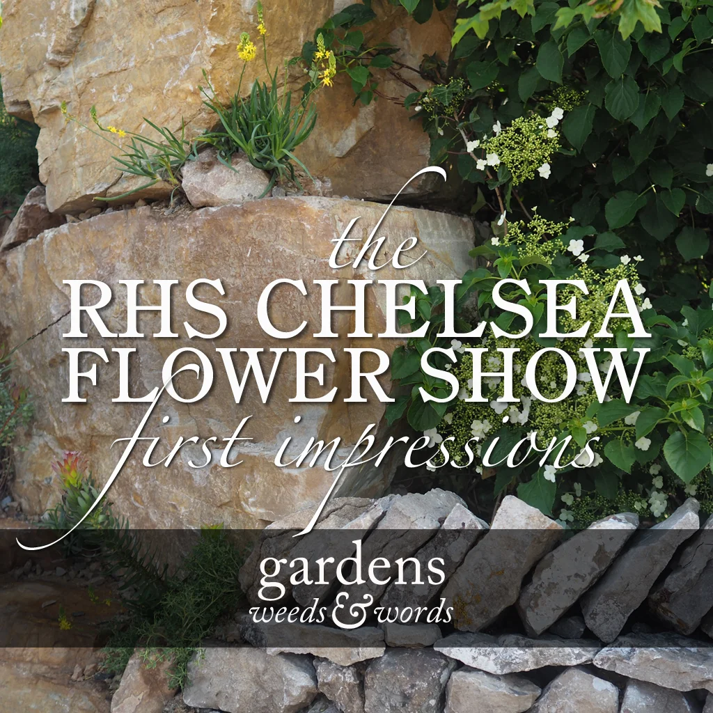 RHS Chelsea Flower Show 2018