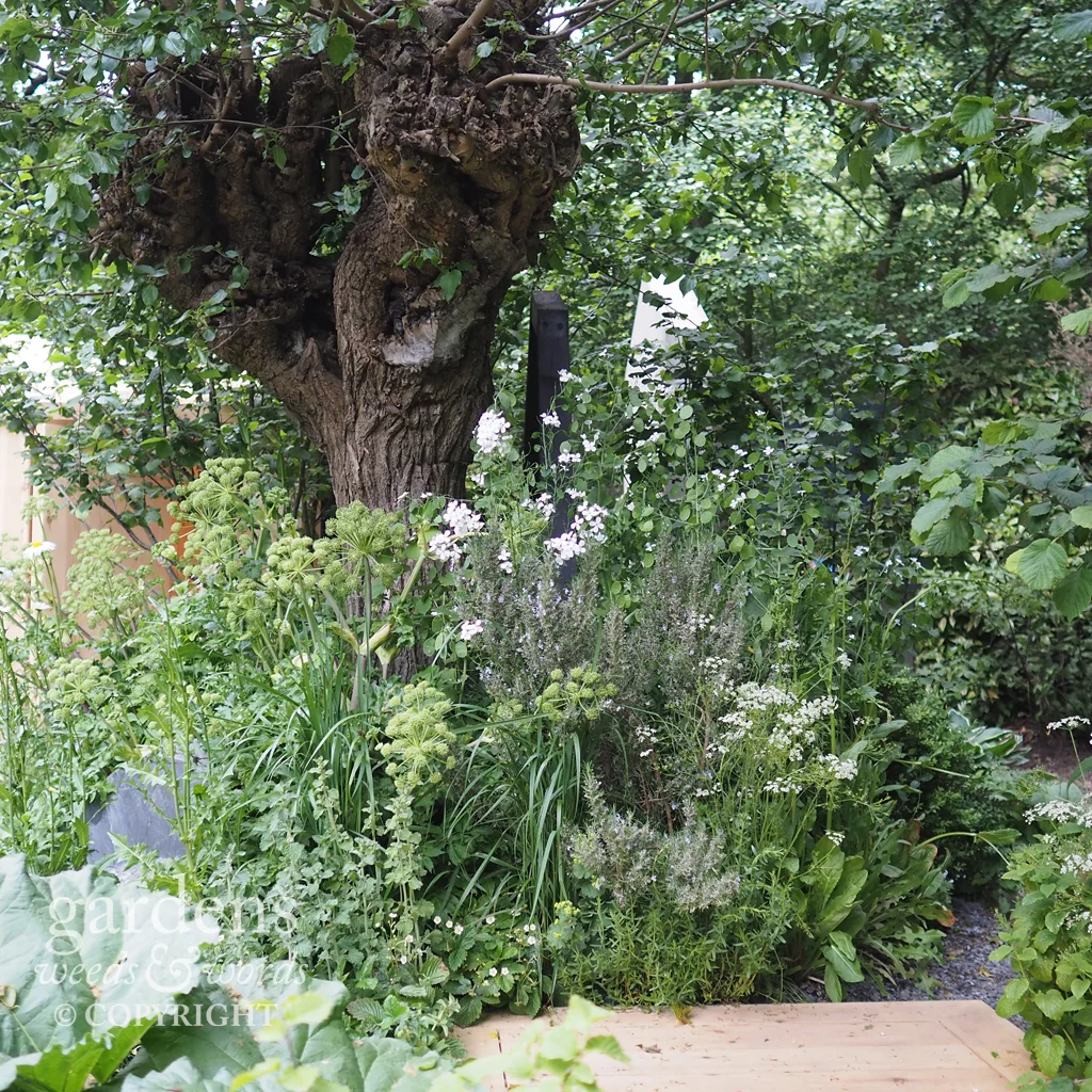 Detail from the Viking Cruises Wellness garden by Paul Hervey-Brookes, RHS Chelsea Flower Show 2018