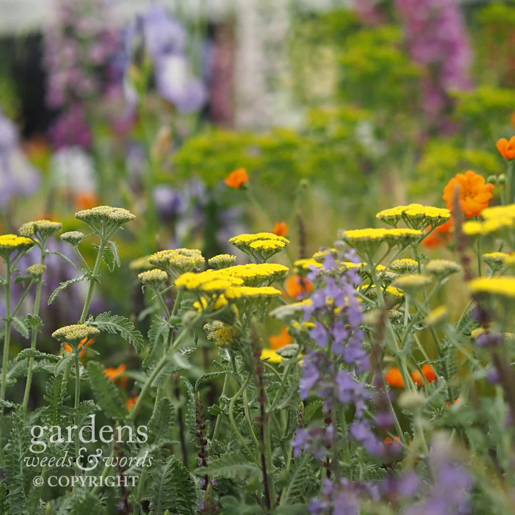 Detail from the Todd’s Botanics stand at the RHS Chelsea Flower Show 2018