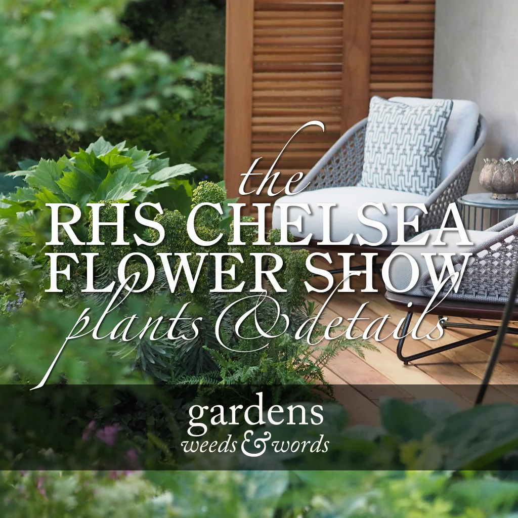 RHS Chelsea Flower Show 2018