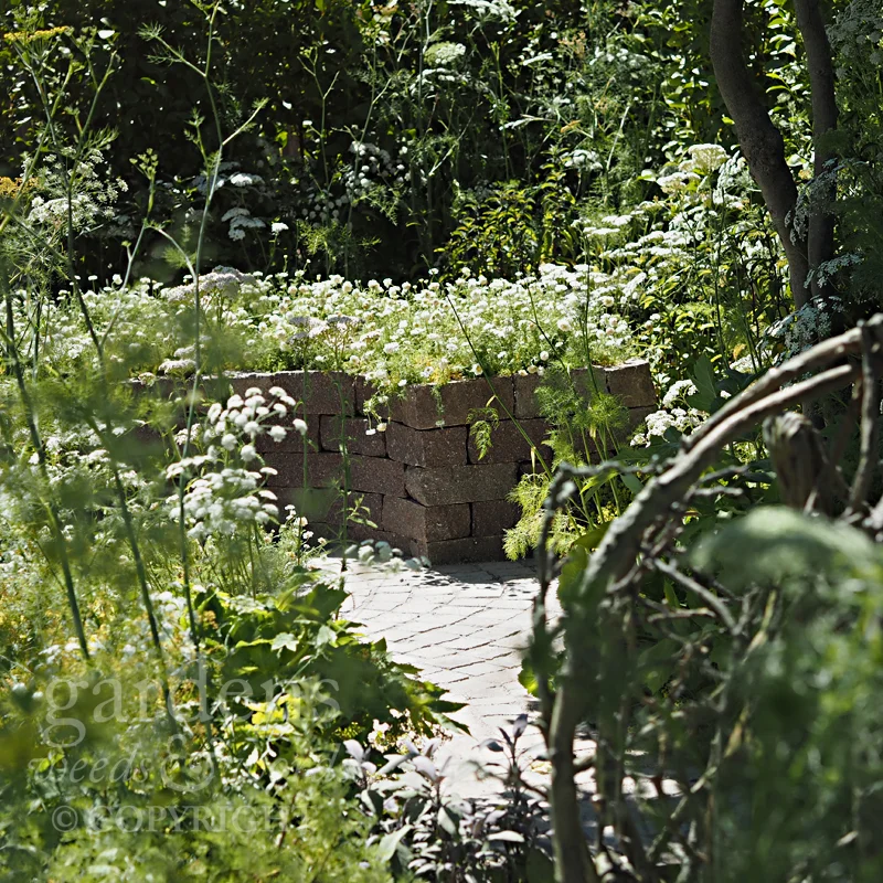 Detail from Alexandra Noble’s Health & Wellbeing Garden at the RHS Hampton Court Flower Show 2018