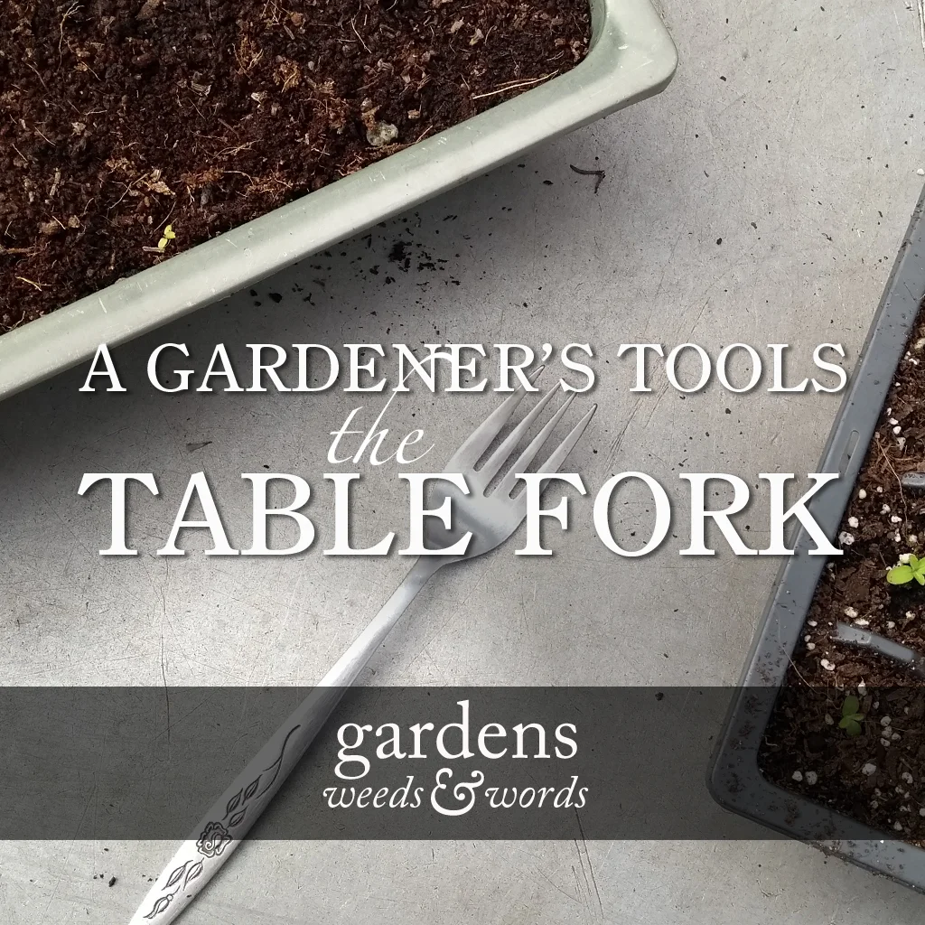 A gardener’s tools: the table fork