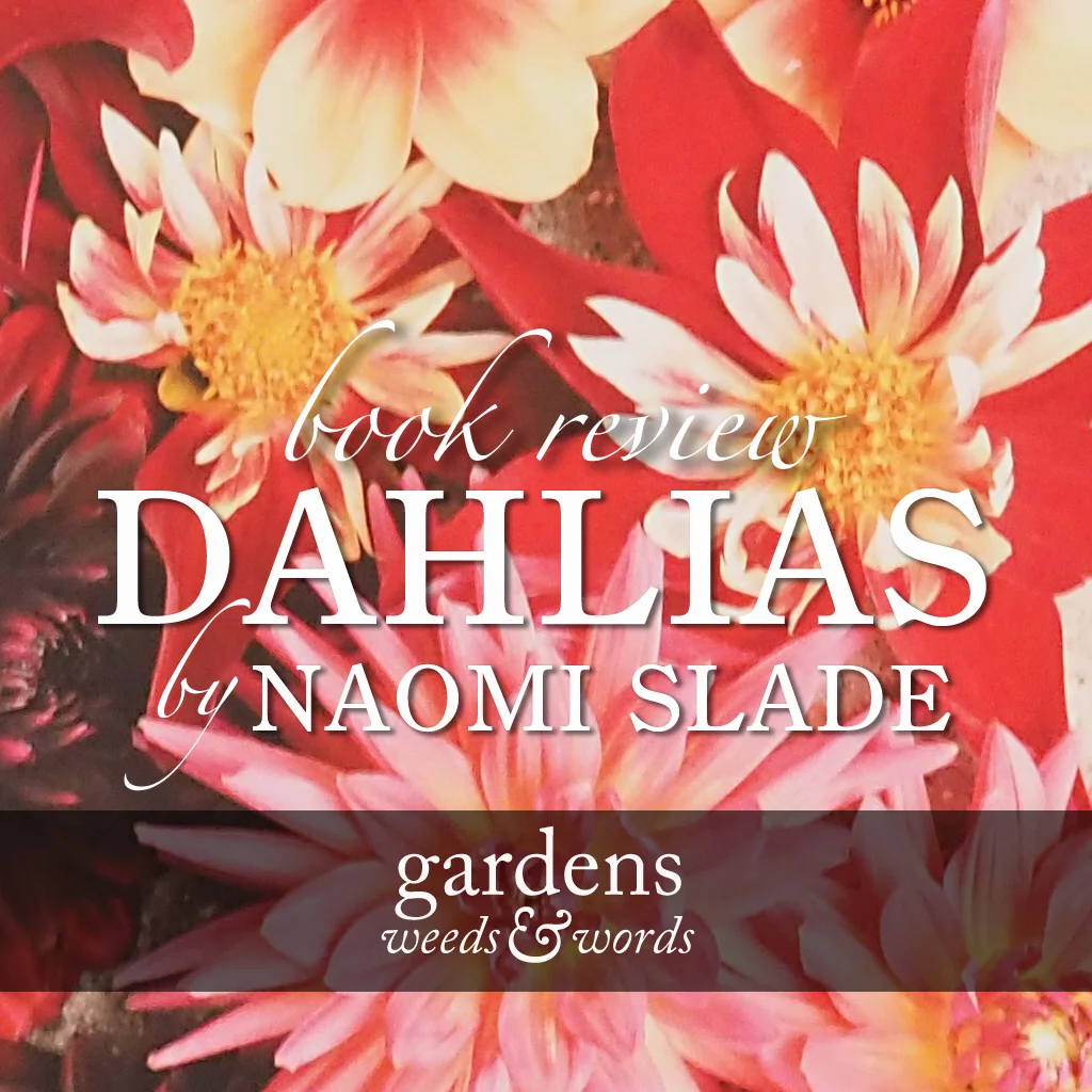 Dahlias. Beautiful varieties for home and garden.