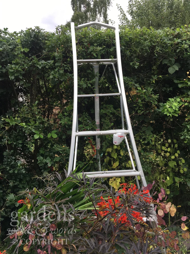 The tripod configuration makes it easy to get close to the hedge, even in restricted space at the back of a border.