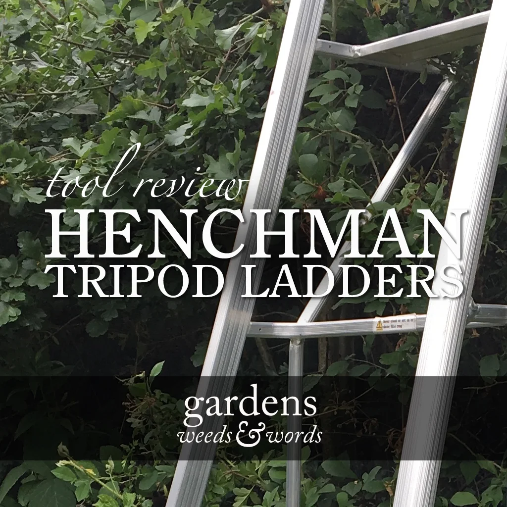 Henchman tripod ladders