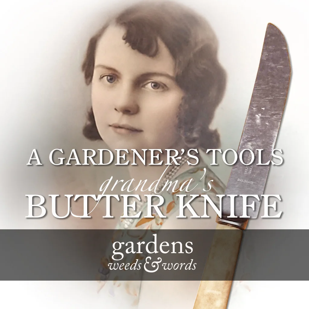 A gardener’s tools: Grandma’s butter knife