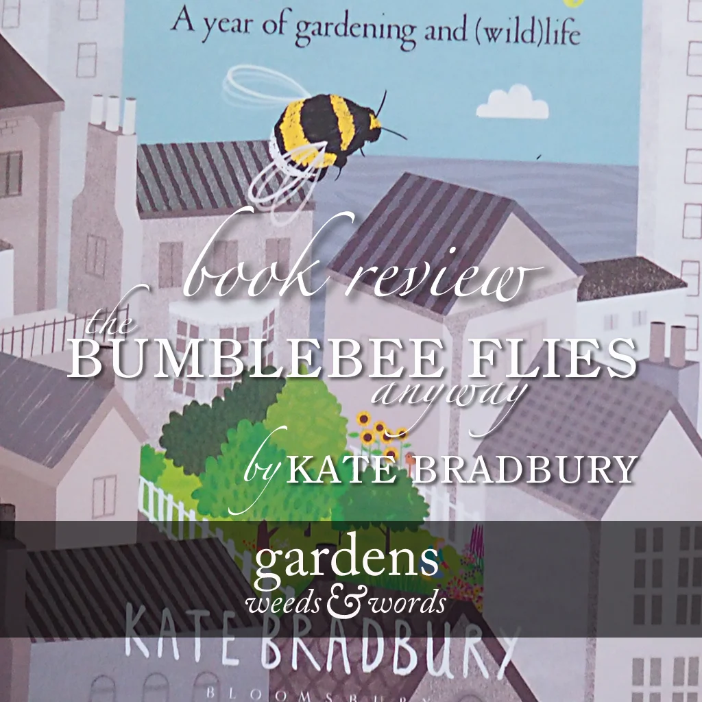 The Bumblebee Flies Anyway