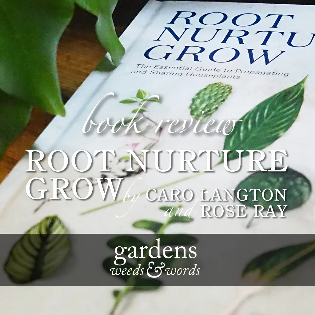 Root, Nuture, Grow