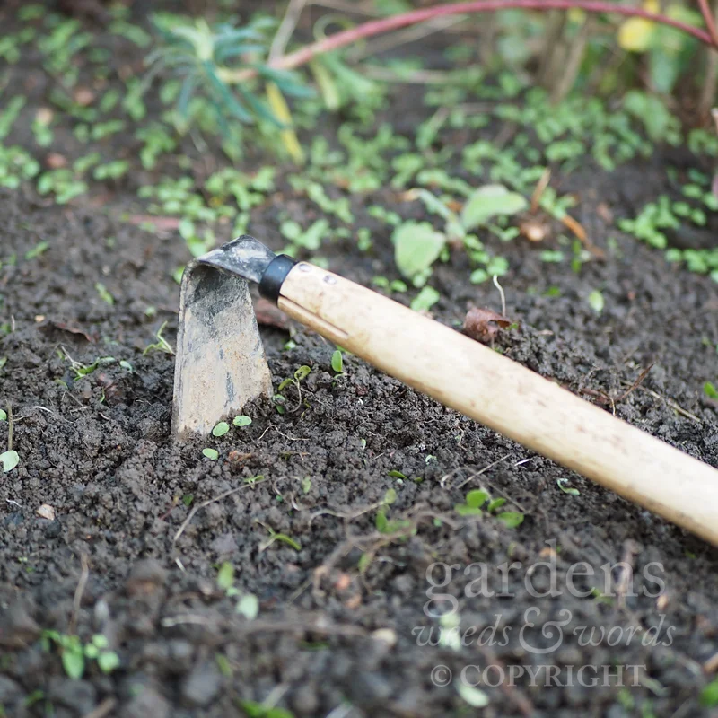 The Burgon & Ball vegetable hoe