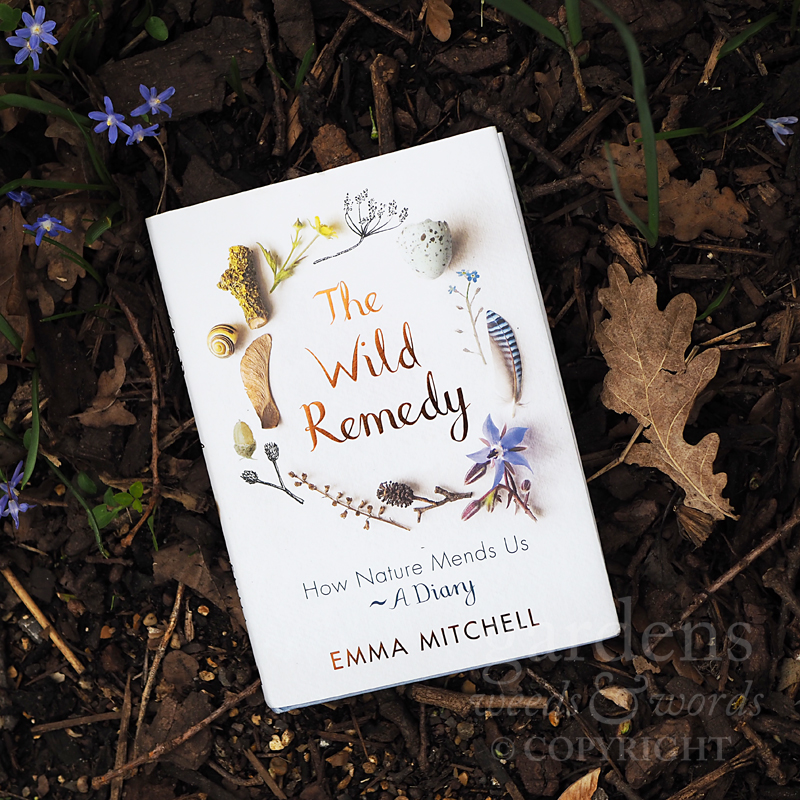 The Wild Remedy; How Nature Mends Us