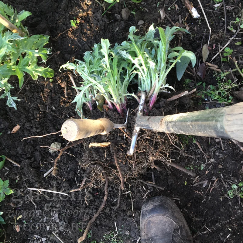 GWW-gardeninspo-day084.jpg