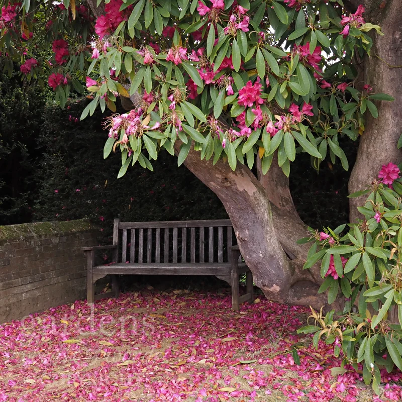 GWW-gardeninspo-day127.jpg