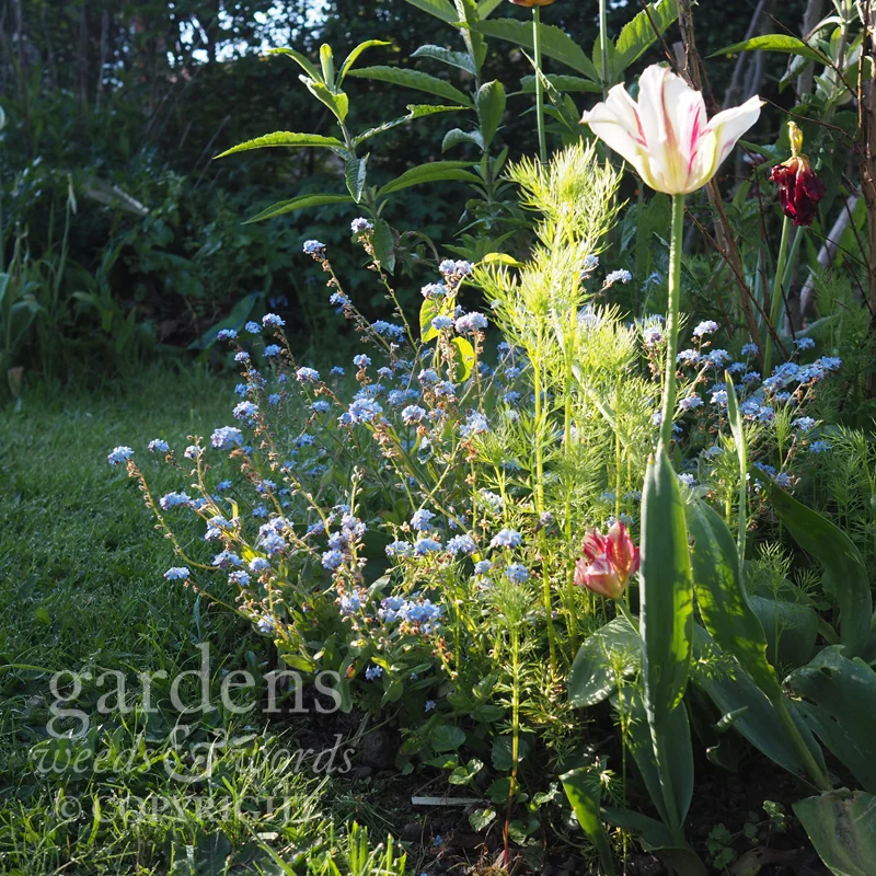 GWW-gardeninspo-day132.jpg