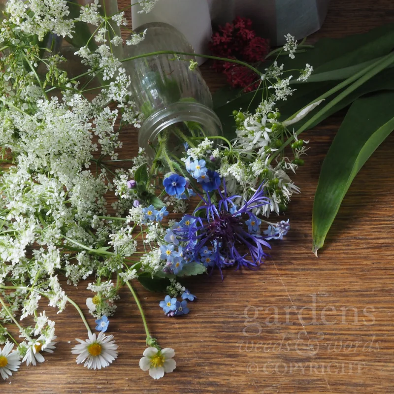 GWW-gardeninspo-day137.jpg