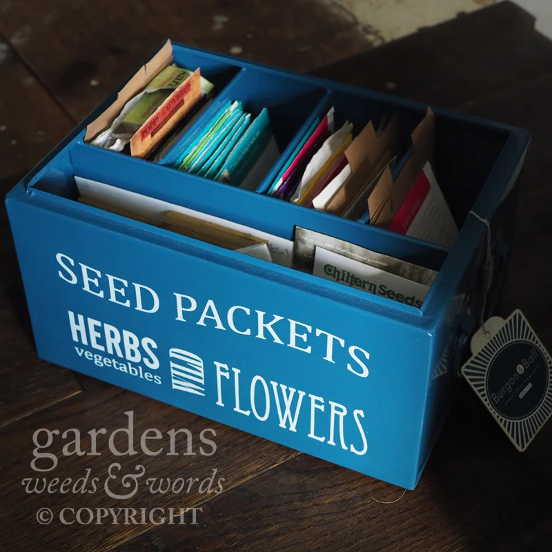 Just one of the several boxes housing my collection of seeds