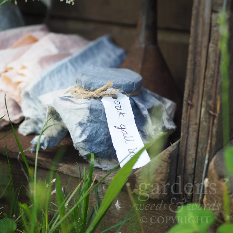 Detail of The Naturecraft Garden for Belvoir Fruit Farms, designed by Pollyanna Wilkinson, at the RHS Hampton Court Flower Show 2019