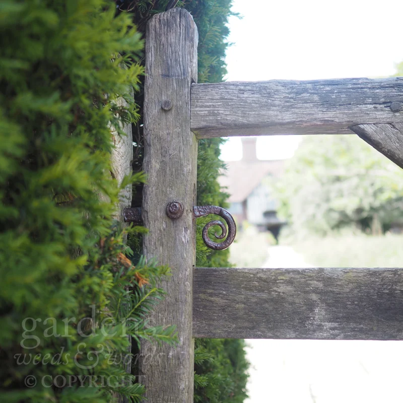 GWW-gardeninspo-day222.jpg