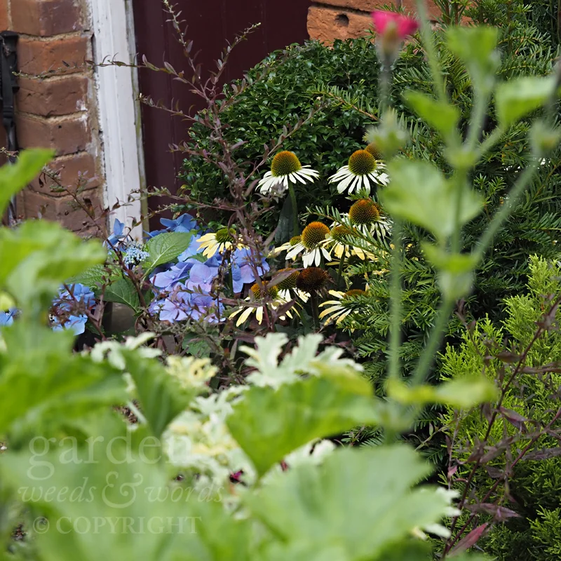 GWW-gardeninspo-day250.jpg