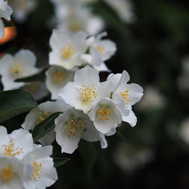 Midsummer rocks up a day early this year. Depending where you stand, this marks the beginning of summer, or the start of the drawing back in of the daylight. Of course, it's both of those things &ndash; most humpy of hump days. She giveth, and she ta