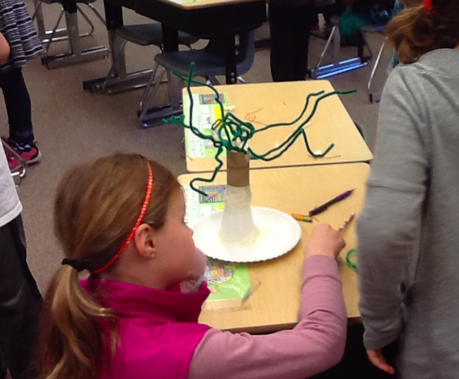 Whitney_inskeep_stem_pipe_clearners