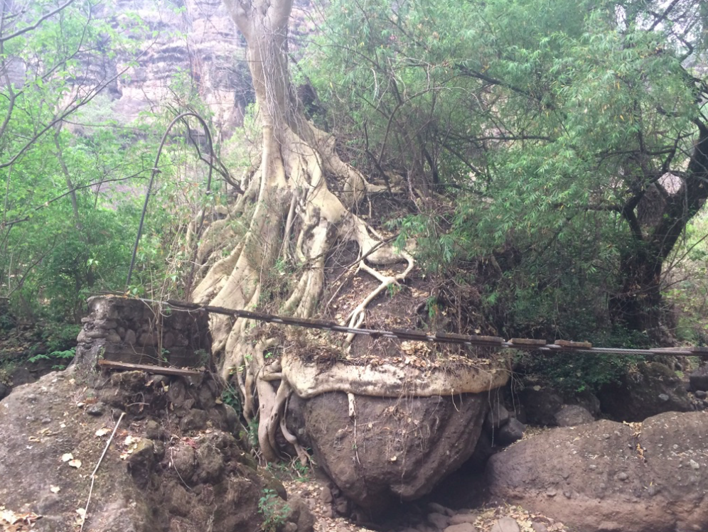 Screen Shot 2016-04-26 at 12.56.10 PM.png