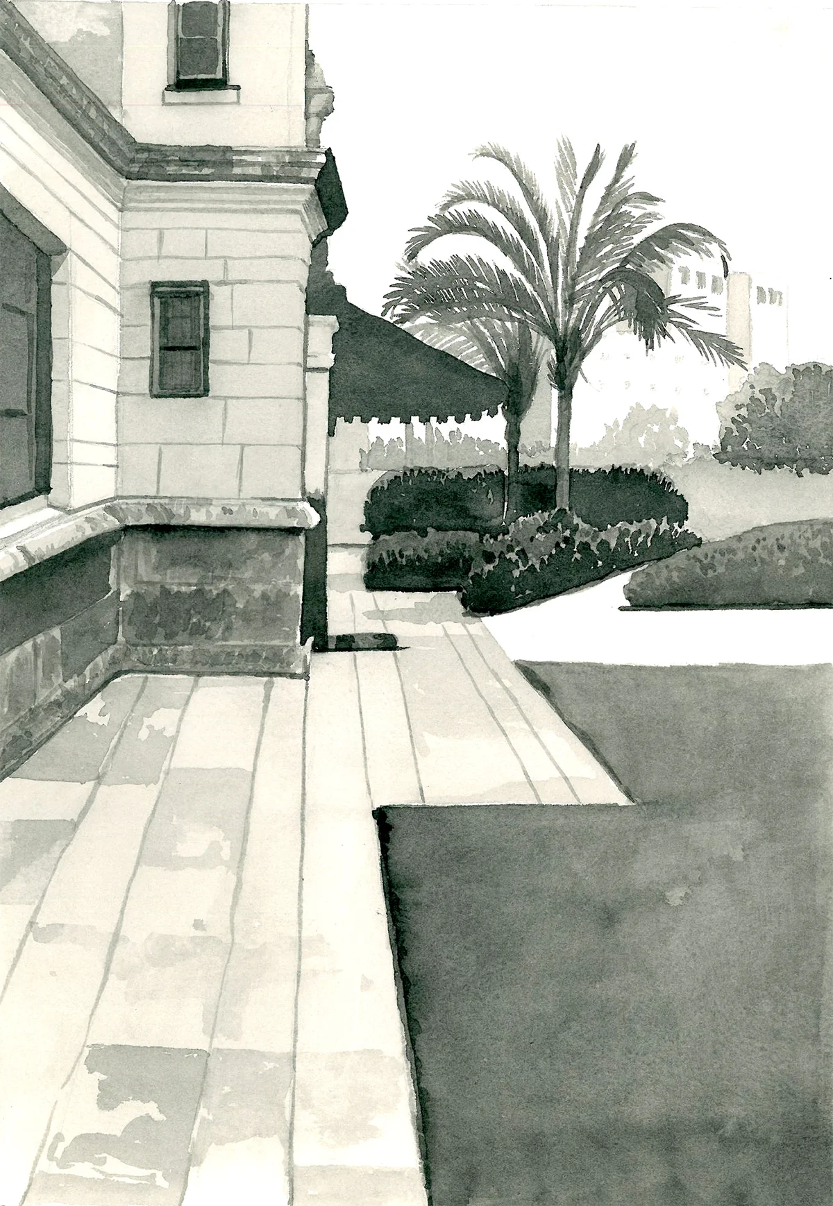 Side of Building and Palm Tree.jpg
