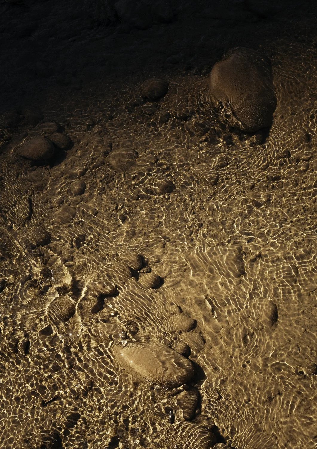 DSCF1624-2.jpg