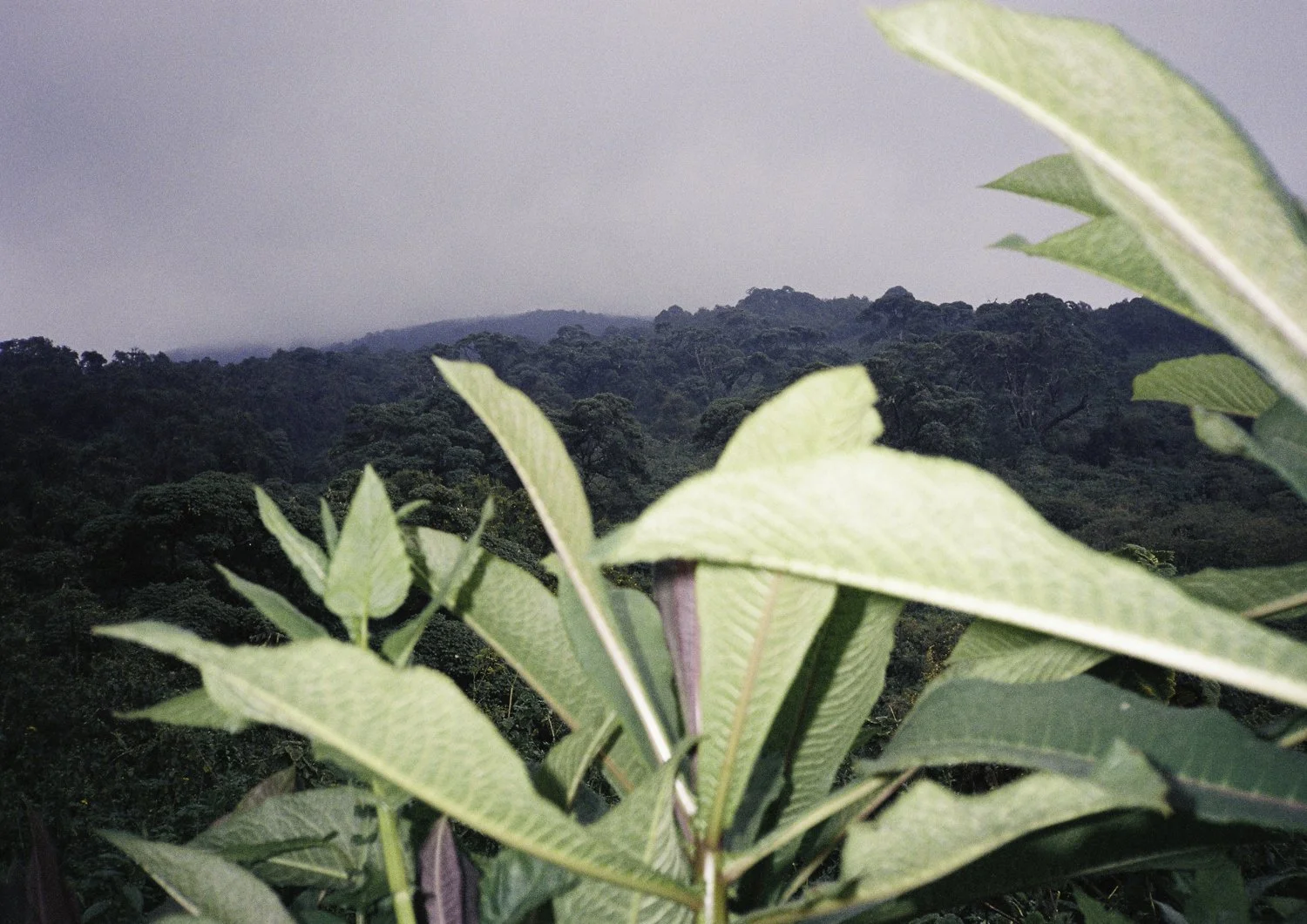 Volcanoes NP_1500px.jpg