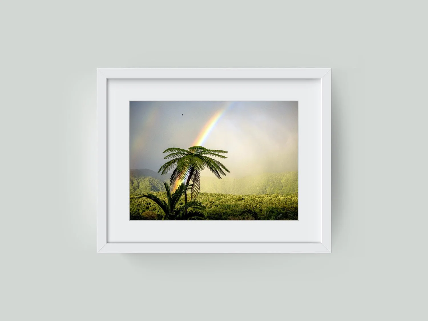 Tanna Rainbow