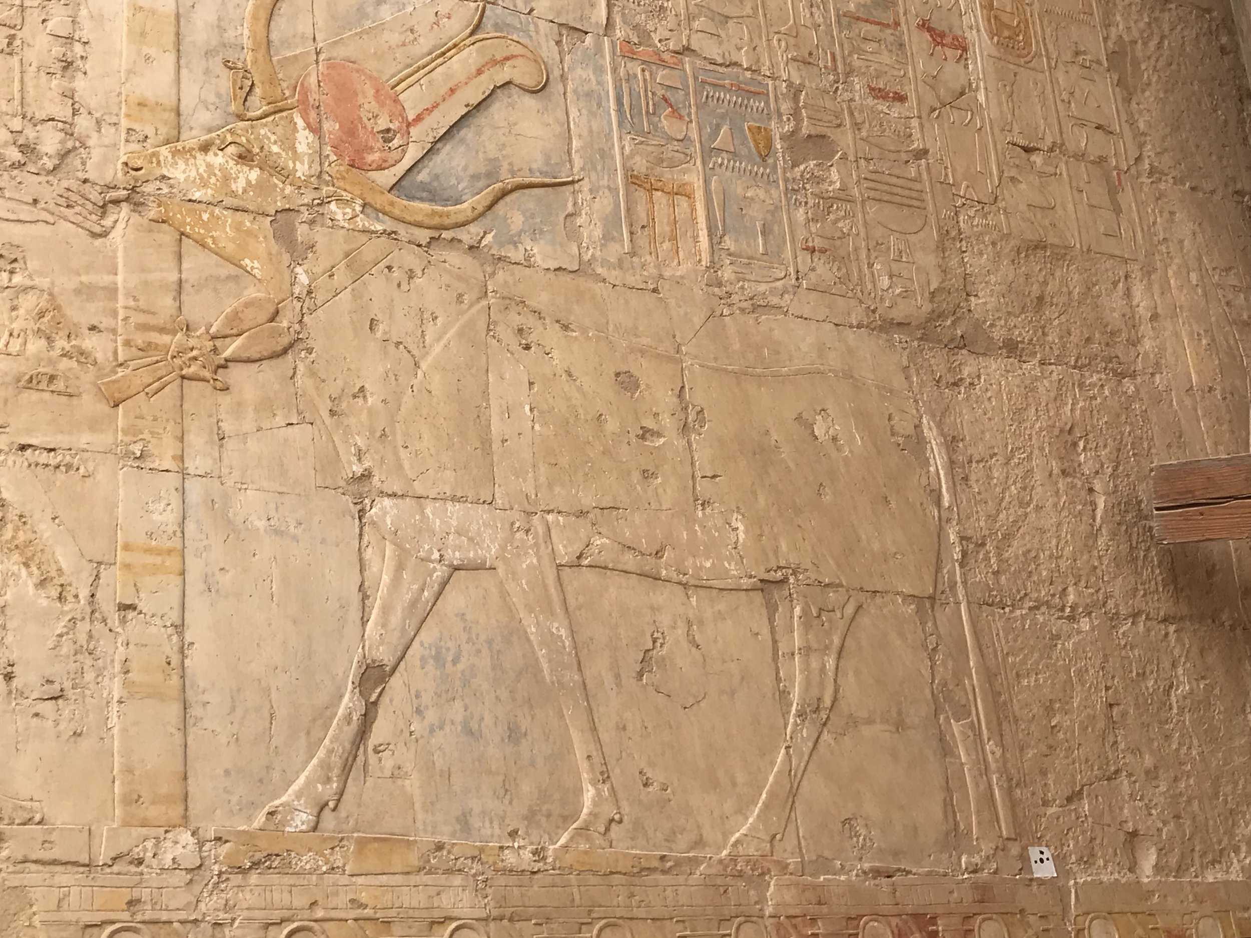 Goddess Hathor in her cow expression