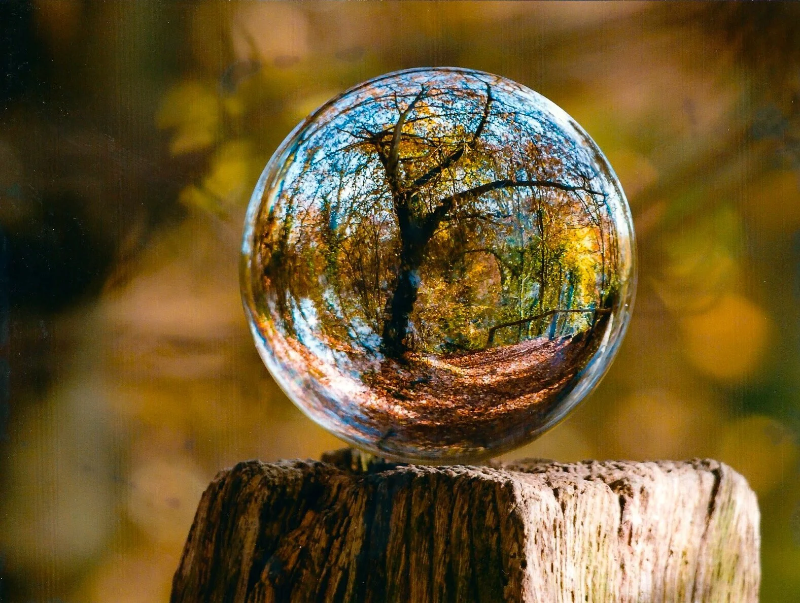 Element 42 Molybdenum