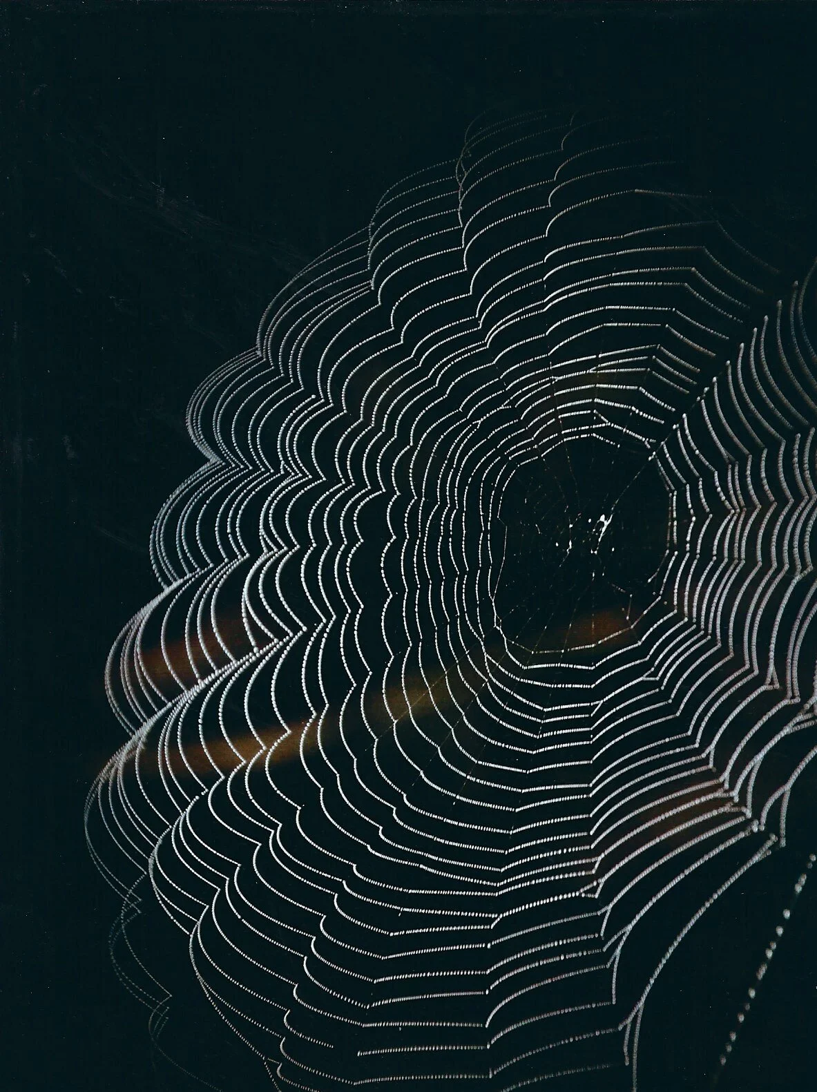 Element 46 Palladium