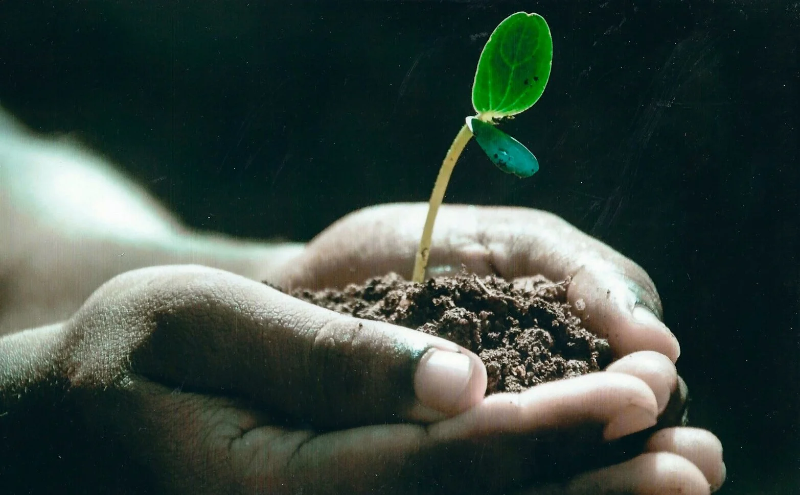 Element 19 Potassium