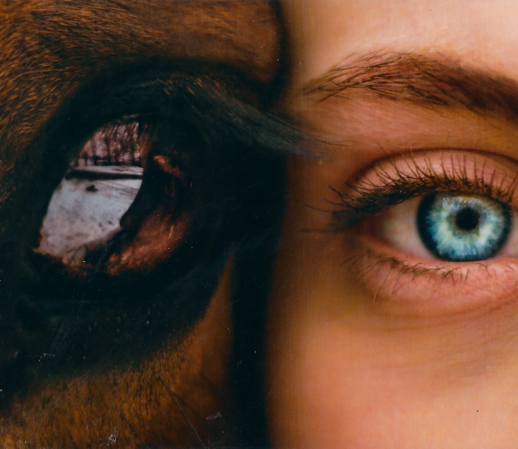 Element 25 Manganese