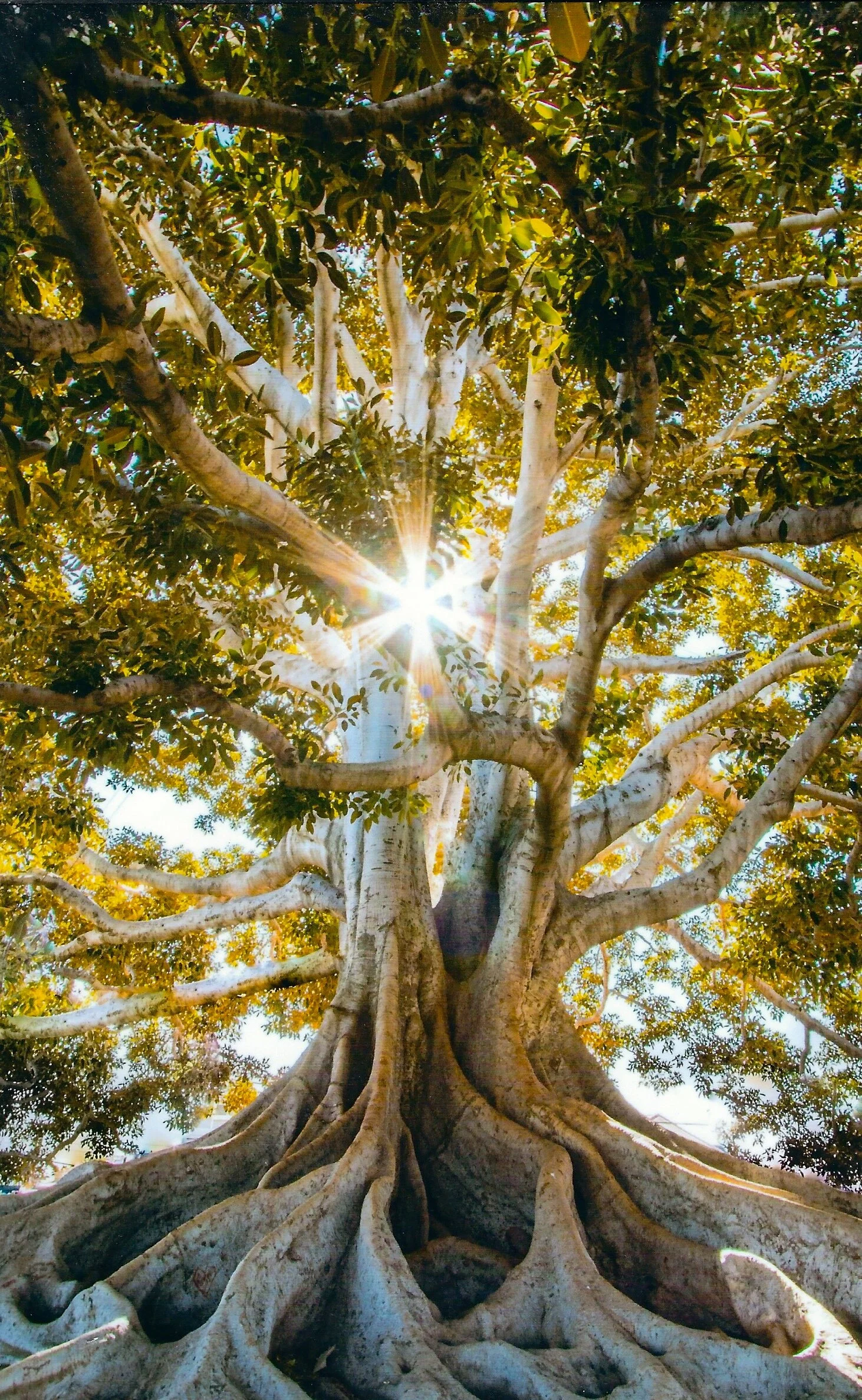 Element 32 Germanium