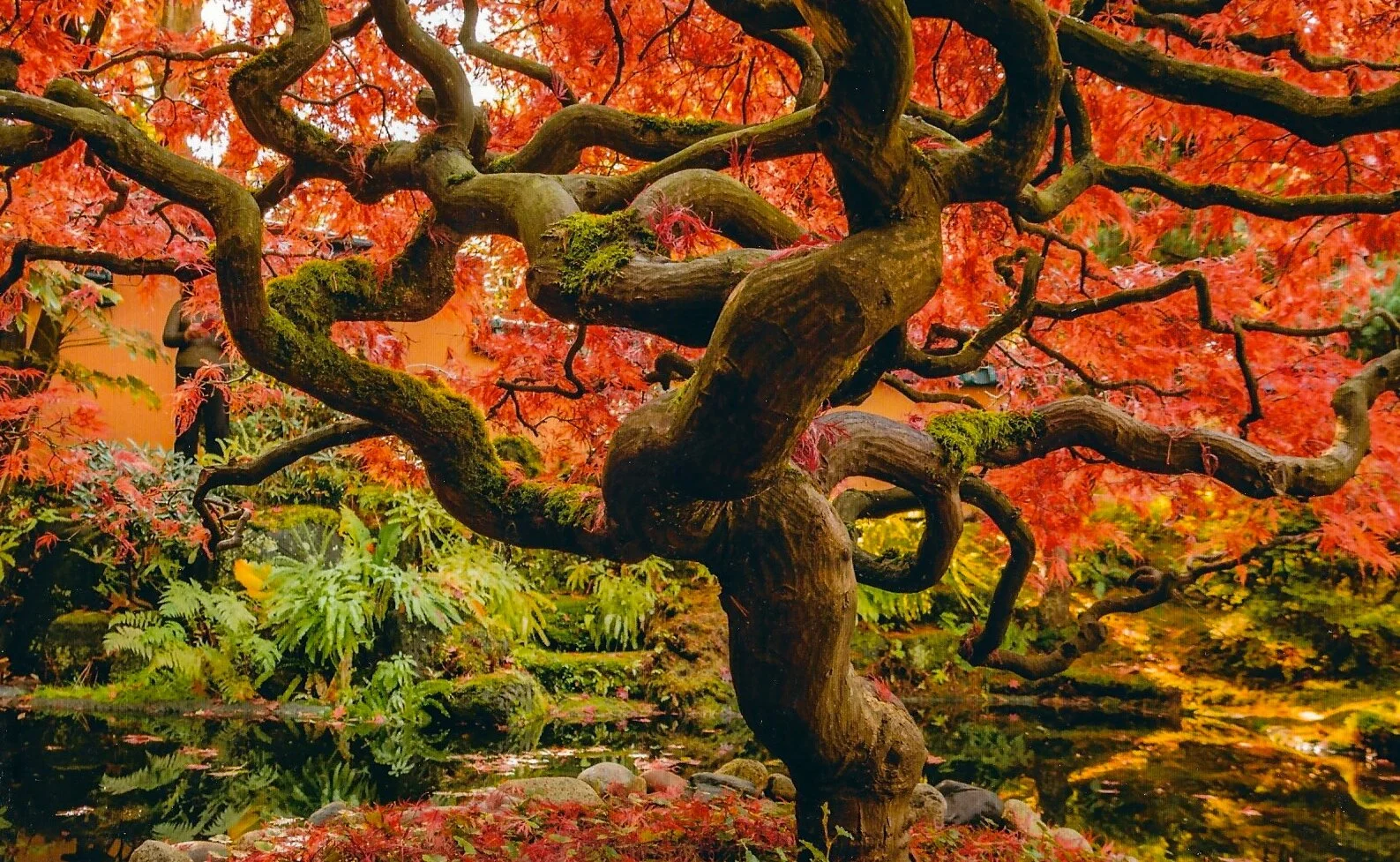 Element 40 Zirconium