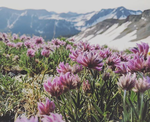 Tell us what is something you appreciate about nature the most? 🙏🏽 For me it's the raw beauty and resilience. Comment below 👇🏽🧡 #naturetotheclassroom #utahvalleyuniversity #nttc (This pic was taken in the beautiful southwest Colorado mountains o