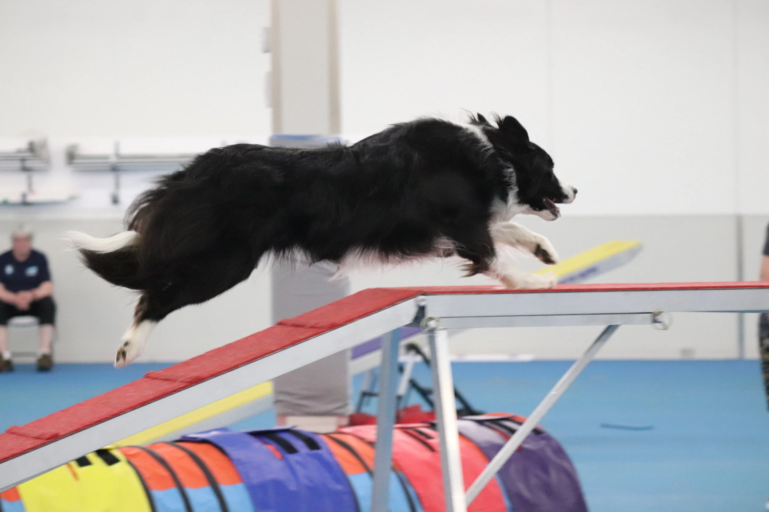 on course agility