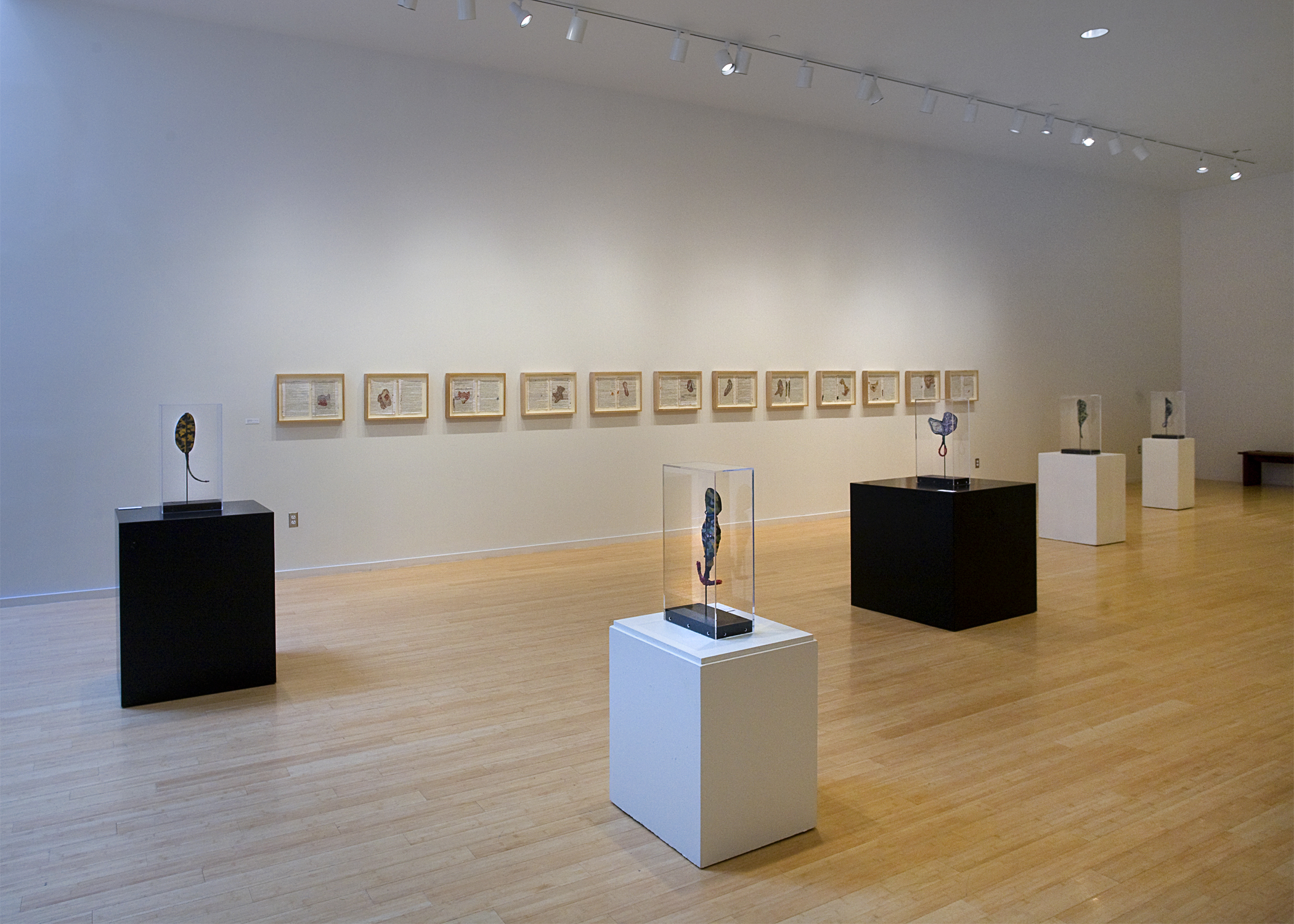  Rhyming The Lines, (installation view) mixed media, 12 framed works, 19 inches by 27 inches each, 2003-2010. 