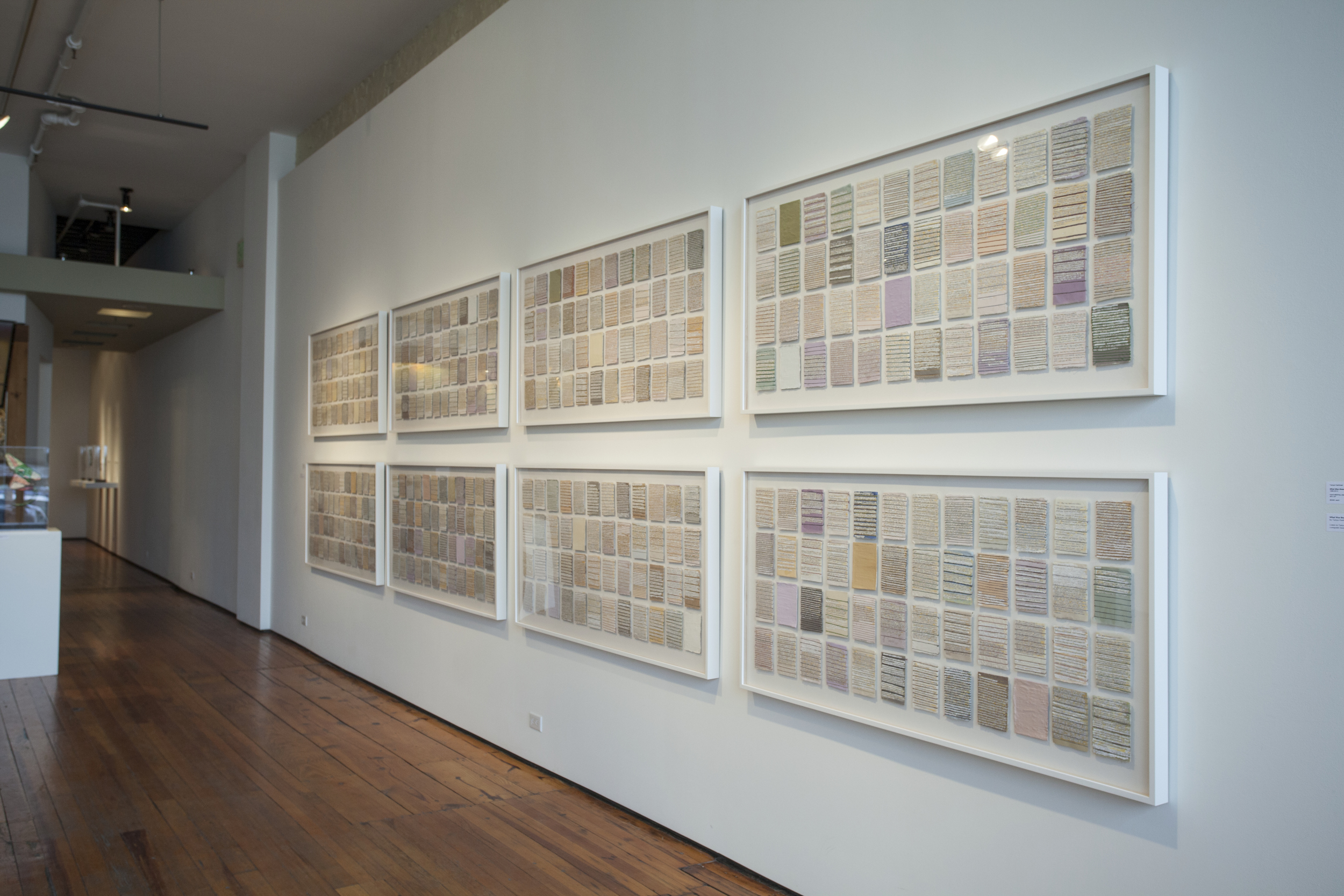   What Was Beautiful,  (installation view, Sherry Leedy Contemporary Art), mixed media, 8 framed works, 24 inches by 48 inches each, 2007-2014. 