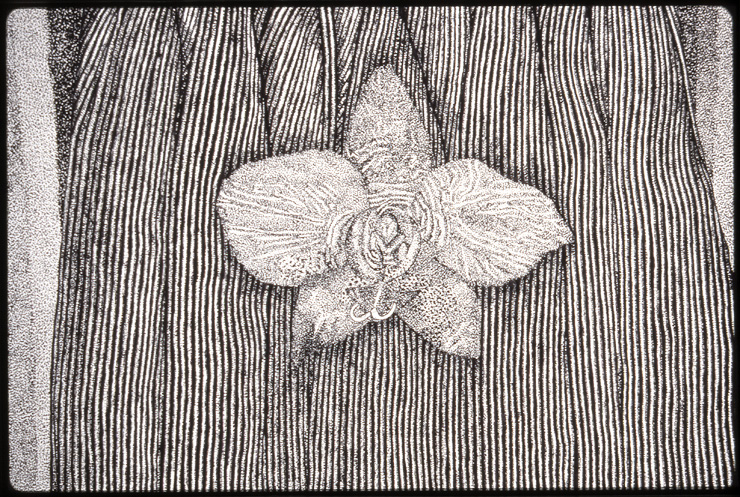 Greater Than/Less Than (detail), ink on paper, 18 in x 24 in, 1998.