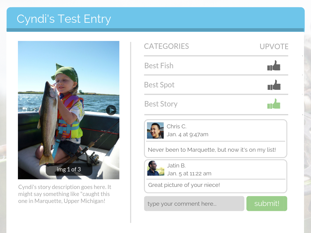What a truck driver might see if she clicked “see entries”