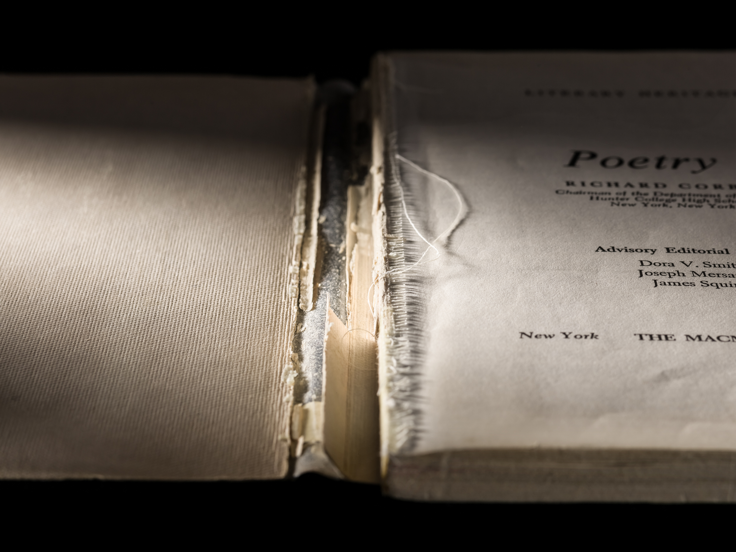 Mansfield_Expired_Portfolio_18.jpg