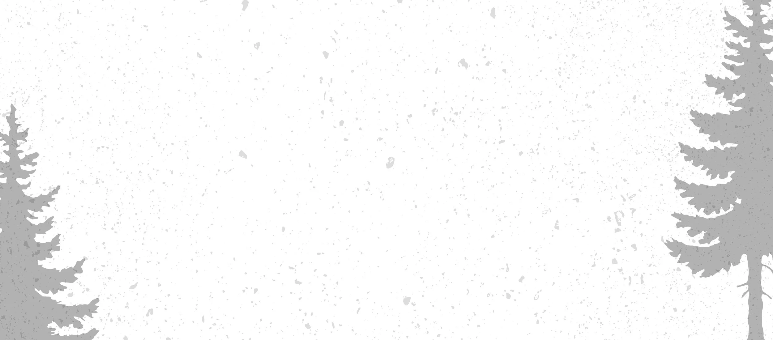 SOLO STOVE SMOKELESS