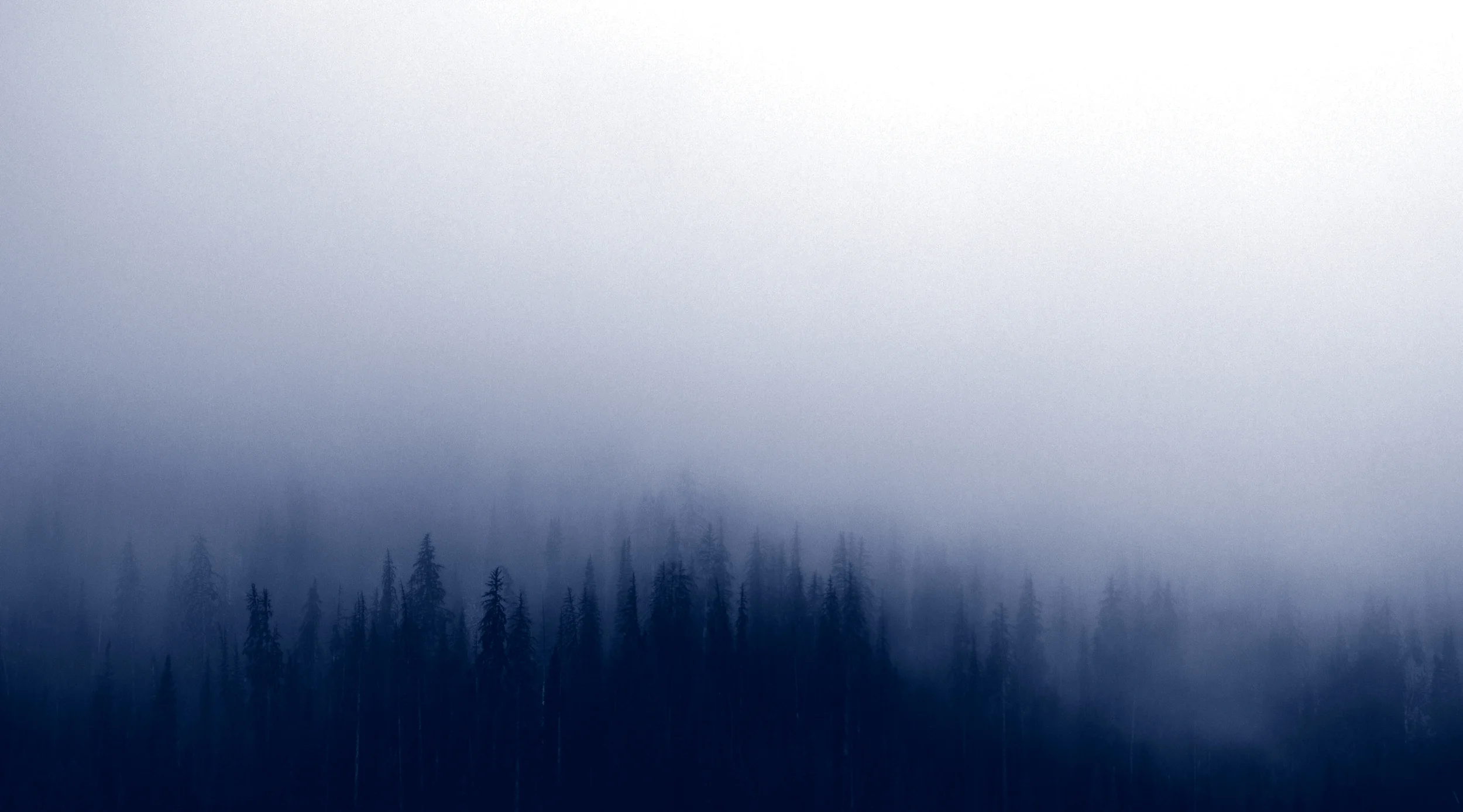 photo-1444837881208-4d46d5c1f127.duotone v2.jpg