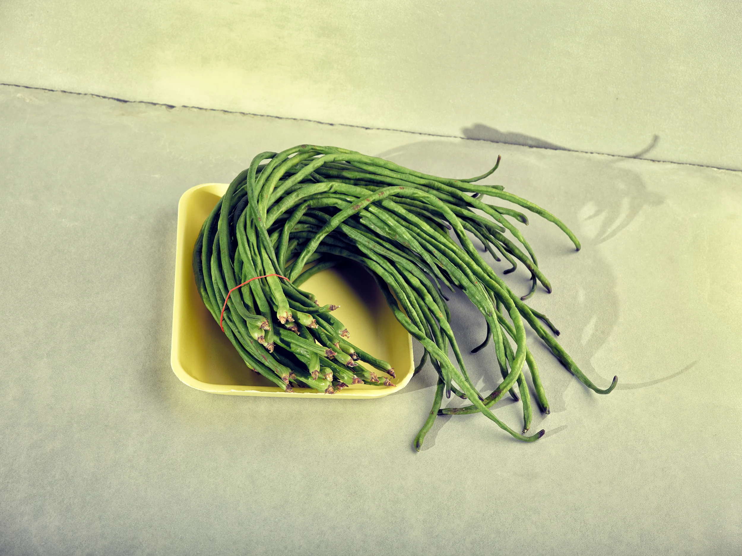 Green Beans Big.jpg